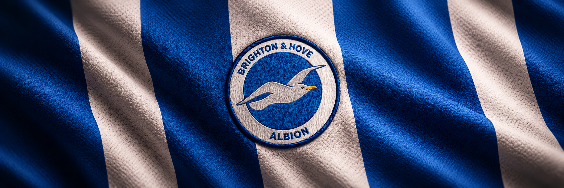 Brighton & Hove Albion crest on club-colour fabric panoramic banner
