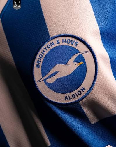 Brighton & Hove Albion